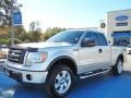 2010 Ingot Silver Metallic Ford F150 FX4 SuperCab 4x4  photo #1