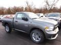 2013 Maximum Steel Metallic Ram 1500 Express Regular Cab 4x4  photo #2