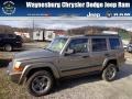 Light Khaki Metallic - Commander 4x4 Photo No. 1