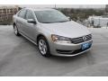 Tungsten Silver Metallic - Passat 2.5L SE Photo No. 1