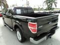 Tuxedo Black - F150 Lariat SuperCrew Photo No. 9