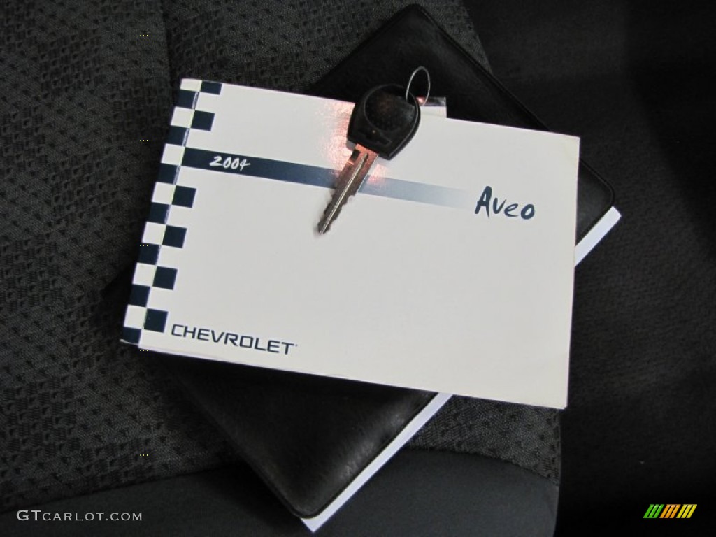 2004 Aveo Sedan - Summit White / Gray photo #25