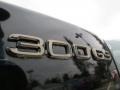 Black Onyx - GS 300 Photo No. 9