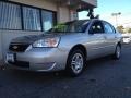 Silverstone Metallic 2007 Chevrolet Malibu LS Sedan