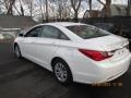 Shimmering White - Sonata GLS Photo No. 5