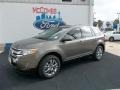 2013 Mineral Gray Metallic Ford Edge SEL  photo #2