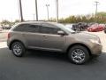 2013 Mineral Gray Metallic Ford Edge SEL  photo #8