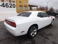 Bright White - Challenger R/T Plus Photo No. 7