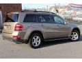 2008 Sand Beige Metallic Mercedes-Benz GL 450 4Matic  photo #4