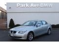 2010 Titanium Silver Metallic BMW 5 Series 528i xDrive Sedan  photo #1