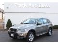 Platinum Bronze Metallic - X5 xDrive30i Photo No. 1