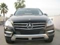 Black - ML 350 4Matic Photo No. 2
