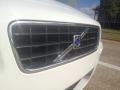 Ice White - S60 2.5T Photo No. 11