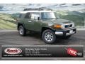 2013 Army Green Toyota FJ Cruiser 4WD  photo #1