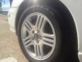 Ice White - S60 2.5T Photo No. 34