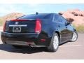 Black Raven - CTS 3.0 Sedan Photo No. 14