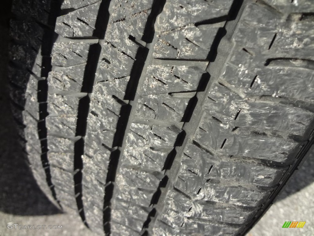 2004 Grand Marquis LS - Gold Ash Metallic / Medium Parchment photo #15