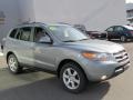 2008 Platinum Sage Hyundai Santa Fe SE 4WD  photo #5