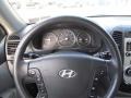 Gray Steering Wheel Photo for 2008 Hyundai Santa Fe #74448775
