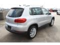 Reflex Silver Metallic - Tiguan SE Photo No. 9