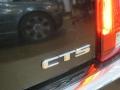 Black Raven - CTS Sedan Photo No. 9