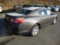 Taupe Gray Metallic - Malibu LS Photo No. 8
