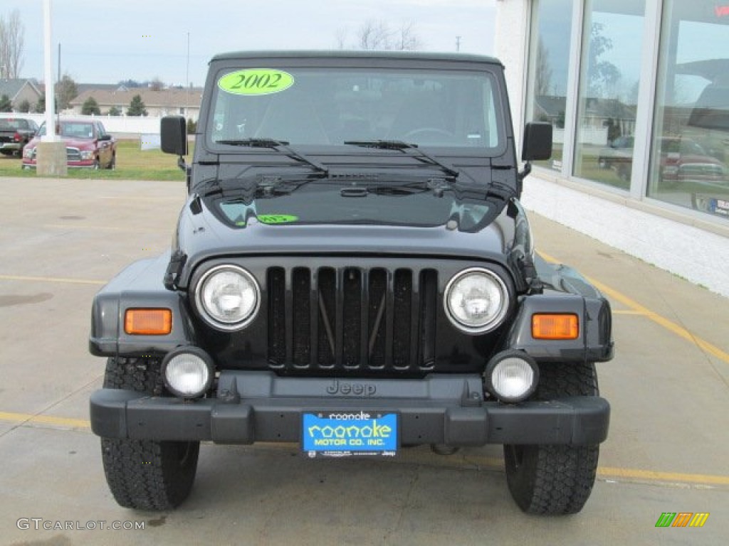 2002 Wrangler Sahara 4x4 - Black / Camel Beige/Dark Green photo #10