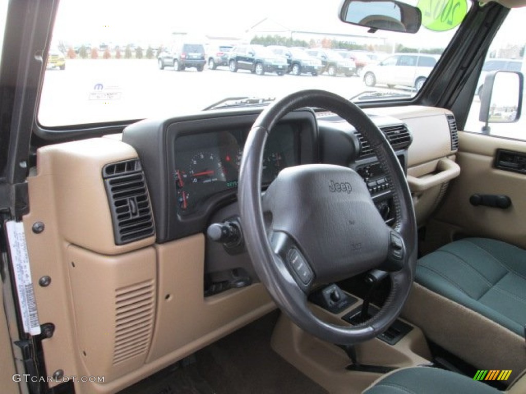 2002 Wrangler Sahara 4x4 - Black / Camel Beige/Dark Green photo #18