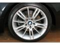 2009 BMW 3 Series 335i Convertible Wheel and Tire Photo