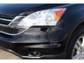2010 Crystal Black Pearl Honda CR-V EX-L AWD  photo #24