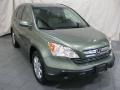 2008 Green Tea Metallic Honda CR-V EX-L 4WD  photo #3