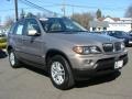 2006 Kalahari Beige Metallic BMW X5 3.0i  photo #2