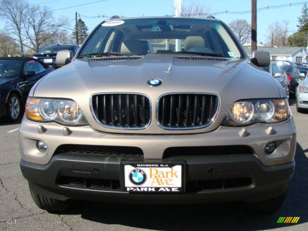 2006 X5 3.0i - Kalahari Beige Metallic / Beige photo #3