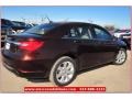 Deep Auburn Pearl - 200 Touring Sedan Photo No. 7