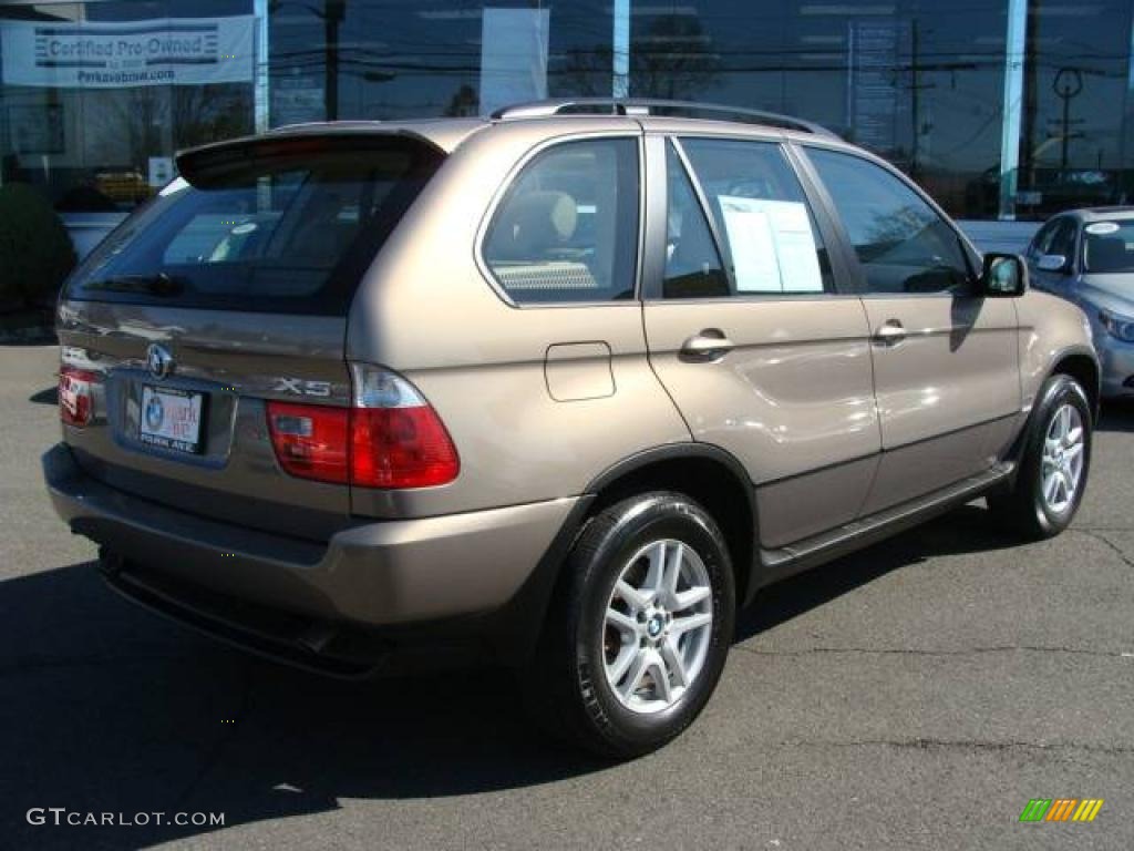 2006 X5 3.0i - Kalahari Beige Metallic / Beige photo #8