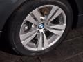 2010 Platinum Grey Metallic BMW 5 Series 528i Sedan  photo #8