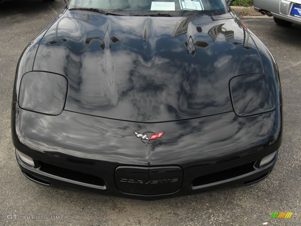 2000 Corvette Convertible - Black / Light Oak photo #4