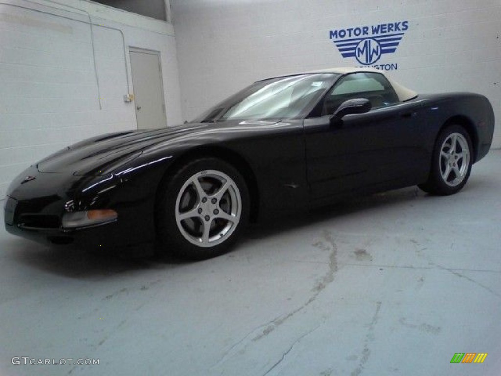 2000 Corvette Convertible - Black / Light Oak photo #24