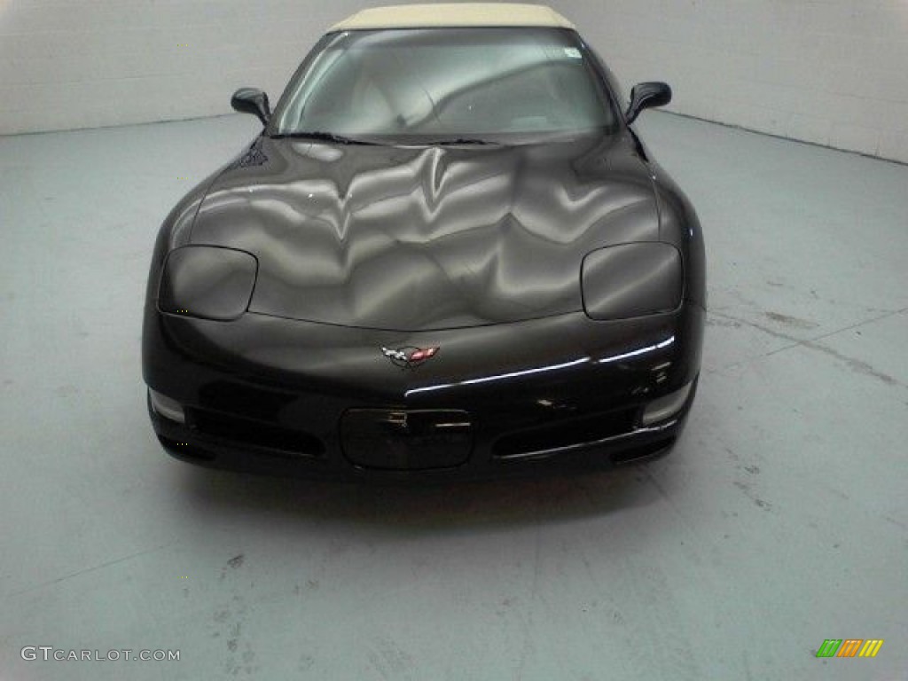 2000 Corvette Convertible - Black / Light Oak photo #26