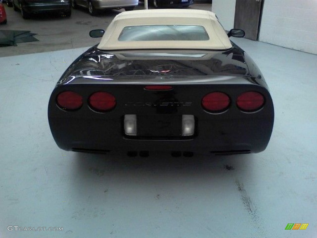 2000 Corvette Convertible - Black / Light Oak photo #30