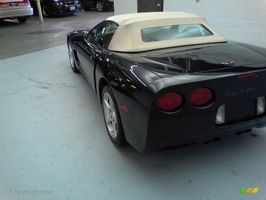 2000 Corvette Convertible - Black / Light Oak photo #32
