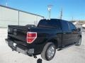 Ebony Black - F150 XLT SuperCrew Photo No. 2