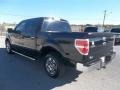 Ebony Black - F150 XLT SuperCrew Photo No. 4