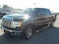Ebony Black - F150 XLT SuperCrew Photo No. 6