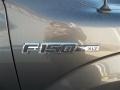 2013 Sterling Gray Metallic Ford F150 XLT SuperCrew  photo #13