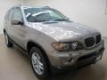 Kalahari Beige Metallic - X5 3.0i Photo No. 1