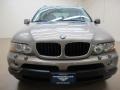 Kalahari Beige Metallic - X5 3.0i Photo No. 2