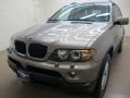 Kalahari Beige Metallic - X5 3.0i Photo No. 3