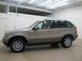 Kalahari Beige Metallic - X5 3.0i Photo No. 4