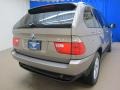 Kalahari Beige Metallic - X5 3.0i Photo No. 7